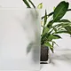 acid etched glass patterns